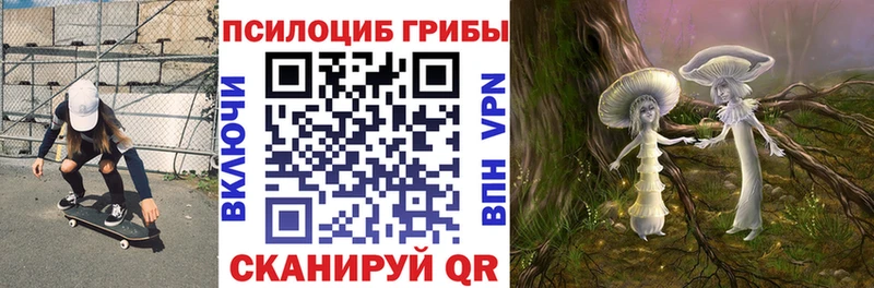 это телеграм Куртамыш Псилоцибиновые грибы MAGIC MUSHROOMS