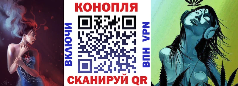 купить   Куртамыш  Бошки Шишки MAZAR 